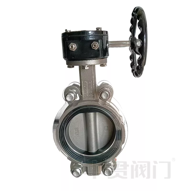 Valvola farfalla in acciaio inossidabile 304 o 316